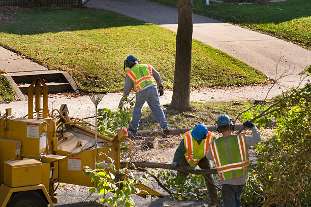 Best Landscape Design and Installation  in Tahlequah, OK